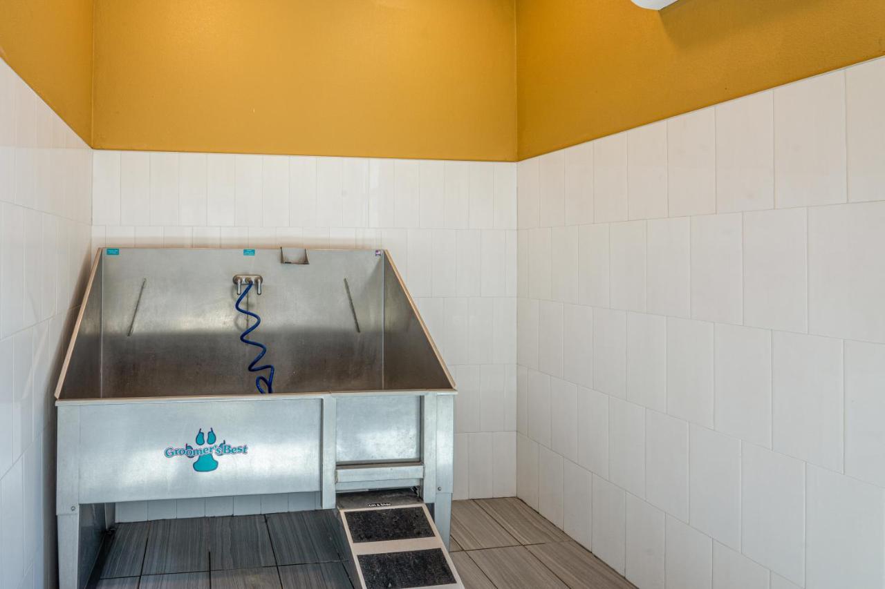 Luxe 3B/2B Getaway - Pool, Gym, Parking, Pet Wash Apartman Leander Kültér fotó